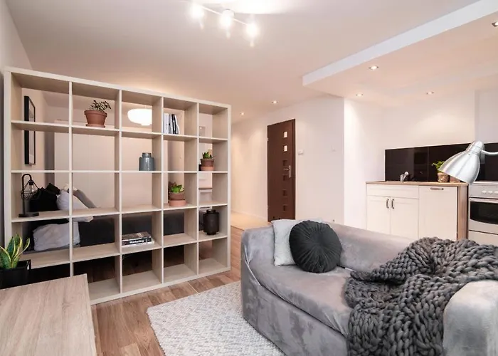 Apartament Okrzei Płock